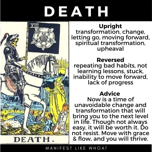 Death :: Wild Unknown Tarot Card Meanings