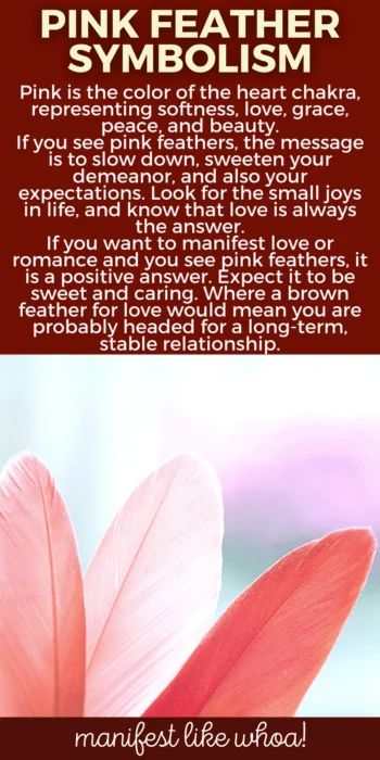 What Does It Mean When You Keep Seeing Pink Feathers? Color Magick for Law of Attraction