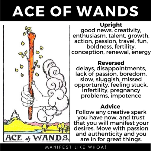 Ace of Wands Tarot Card Meaning For Beginners - Learn To Read Tarot