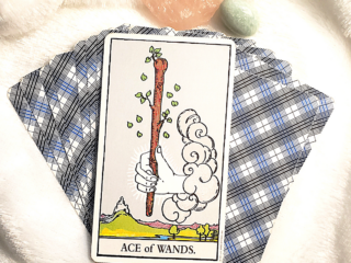 ace of wands upright