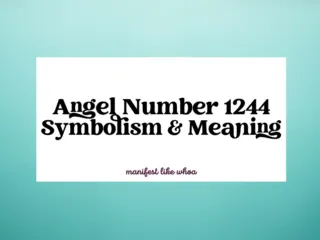 angel number 1244