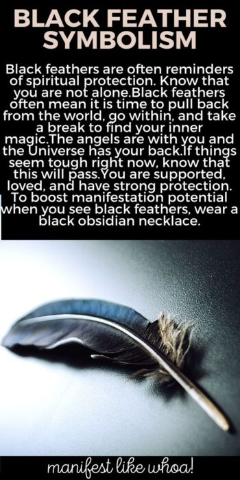 What Does It Mean When You Keep Seeing Black Feathers? Color Magic for Manifesting & Angel Messages