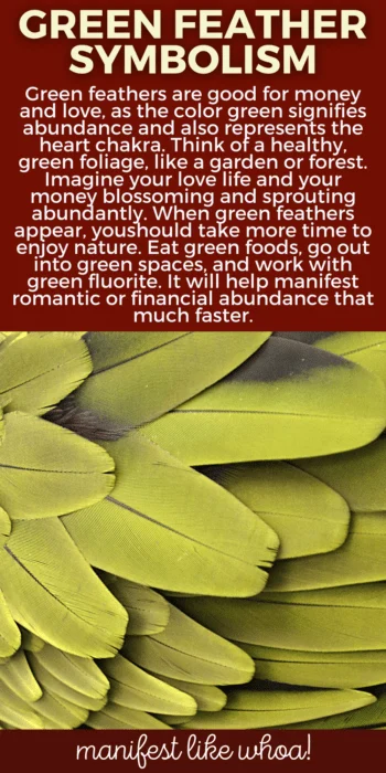 What Does It Mean When You Keep Seeing Green Feathers? Color Magic for Manifesting & Angel Messages