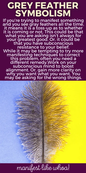 What Does It Mean When You Keep Seeing Grey Feathers? Color Magic for Manifesting & Angel Messages