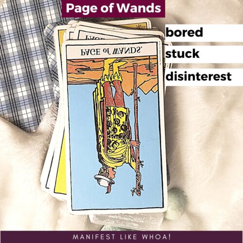 page of wands reversed