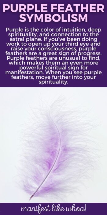 What Does It Mean When You Keep Seeing Purple Feathers? Color Magic for Manifesting & Angel Messages