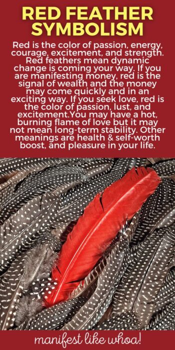 What Does It Mean When You Keep Seeing Red Feathers? Color Magic for Manifesting & Angel Messages