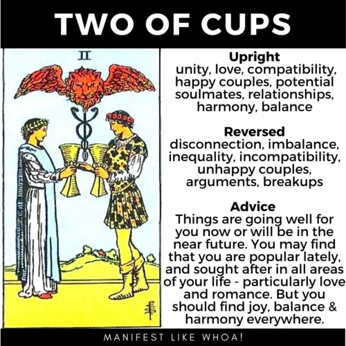 Two of Cups Minor Arcana Tarot Card Meaning - Learn How To Read Tarot For Beginners